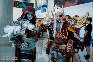 Illustration for article titled So. Much. Armor: A Collection Of Glorious BlizzCon Cosplay!